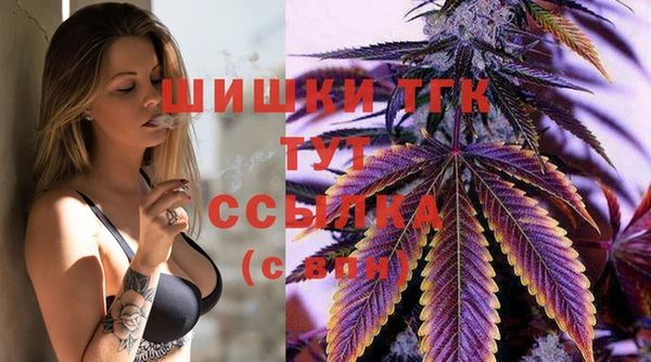 твердый Армянск
