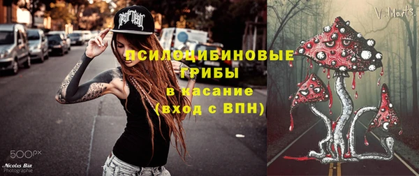 твердый Армянск