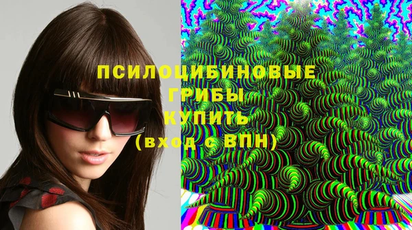 дживик Арсеньев